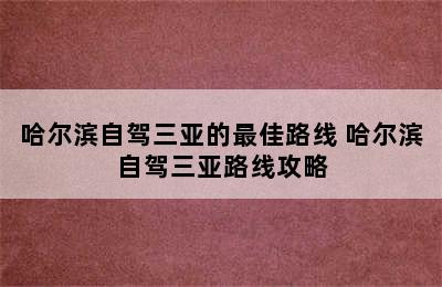 哈尔滨自驾三亚的最佳路线 哈尔滨自驾三亚路线攻略